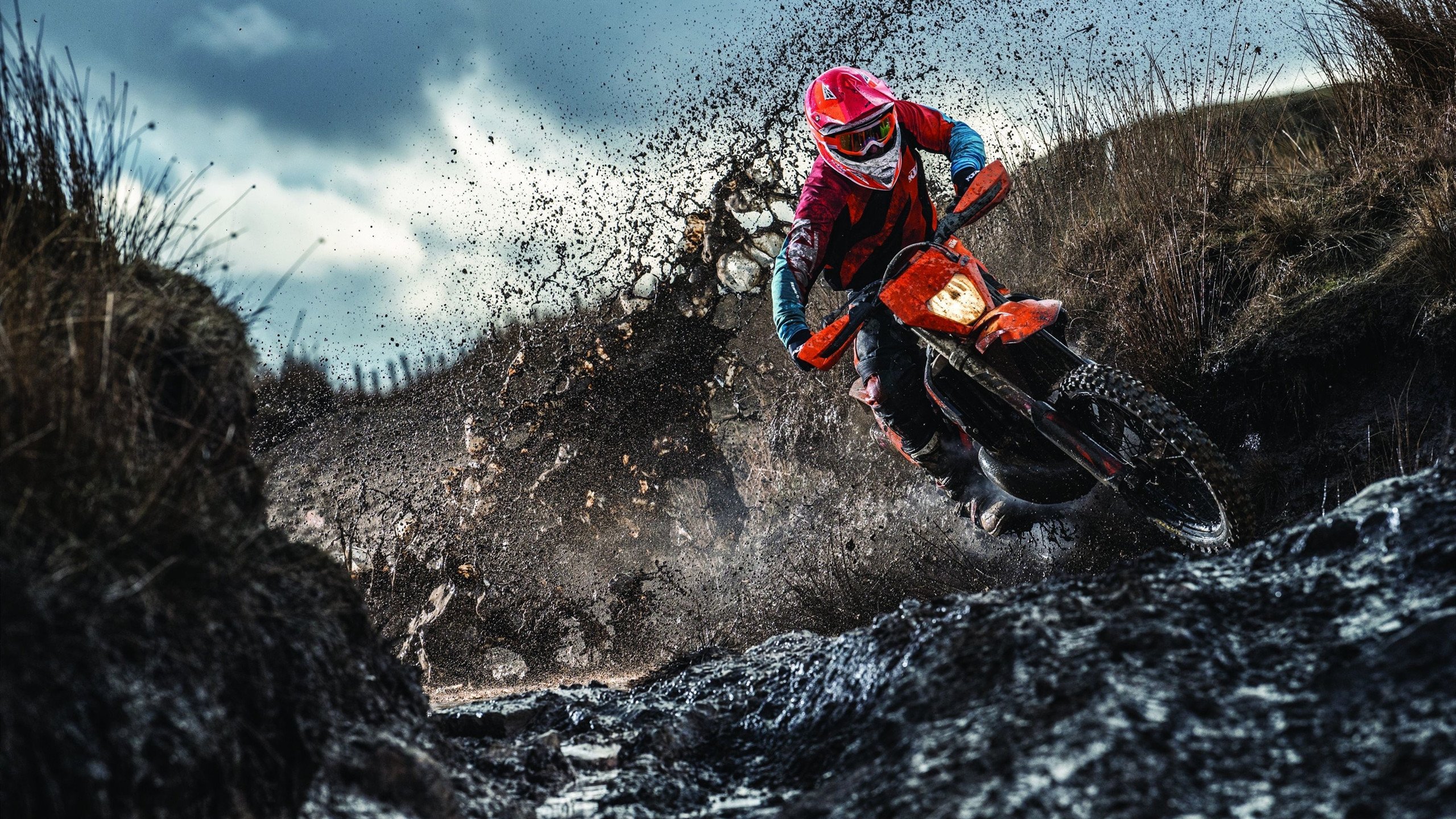 印度队在2024年混合团体世界杯赛场的全力拼搏，印度 世界杯